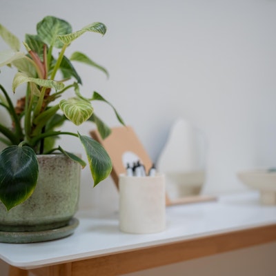 Danielle Manna Danielle Manna