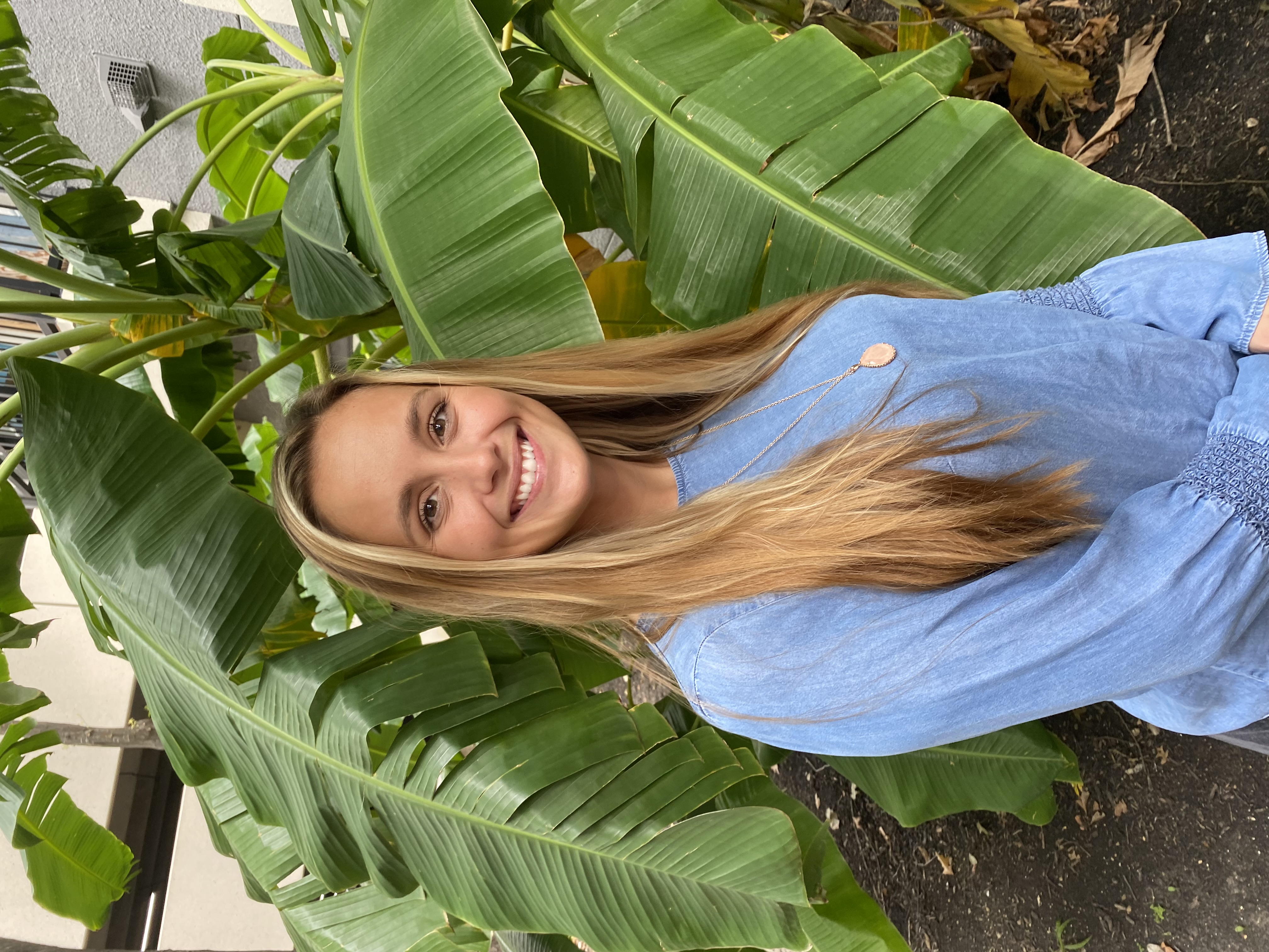 Ingram Counseling and Wellness PLLC's profile picture