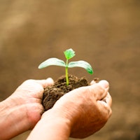 Profile image of The Wellness Center at Grace Lutheran Church Profile image of The Wellness Center at Grace Lutheran Church