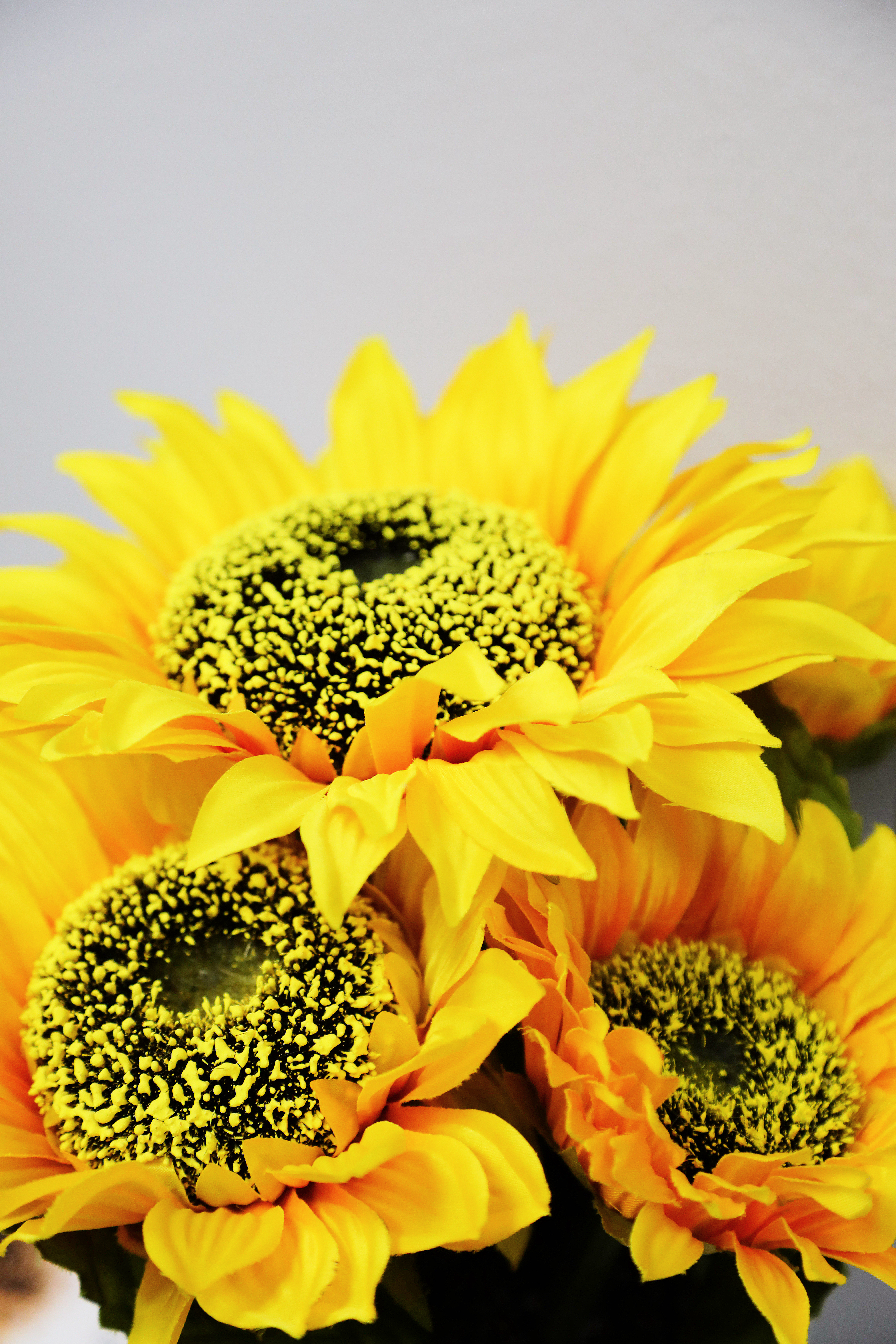 Peace & Mind Wellness Center