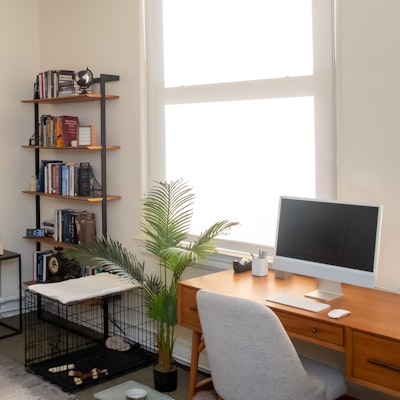 Michael Scheman Michael Scheman