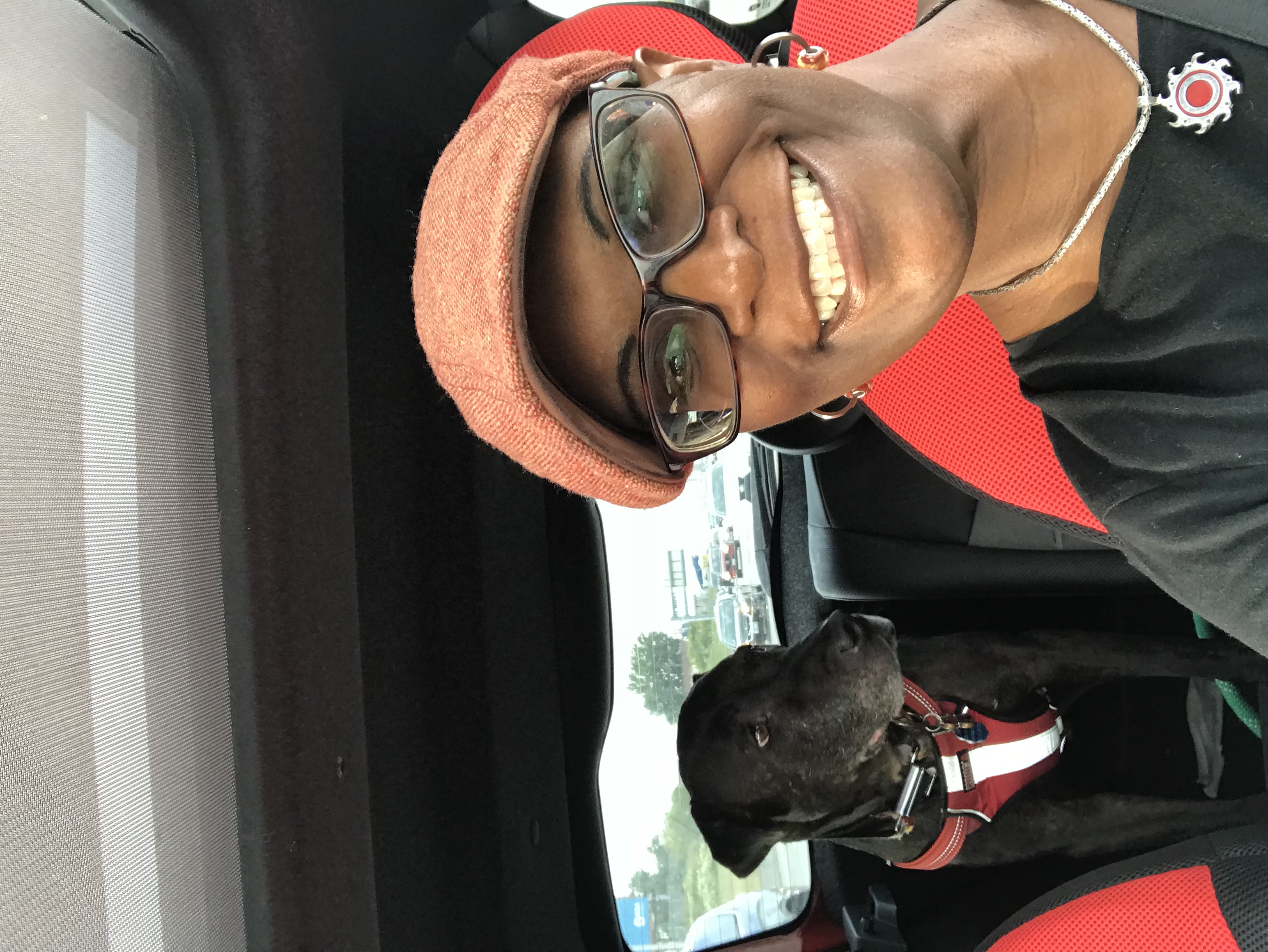 Melissa D DeLuca's profile picture