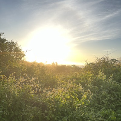 Jason Etting Jason Etting