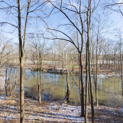 Josh Grashin Josh Grashin