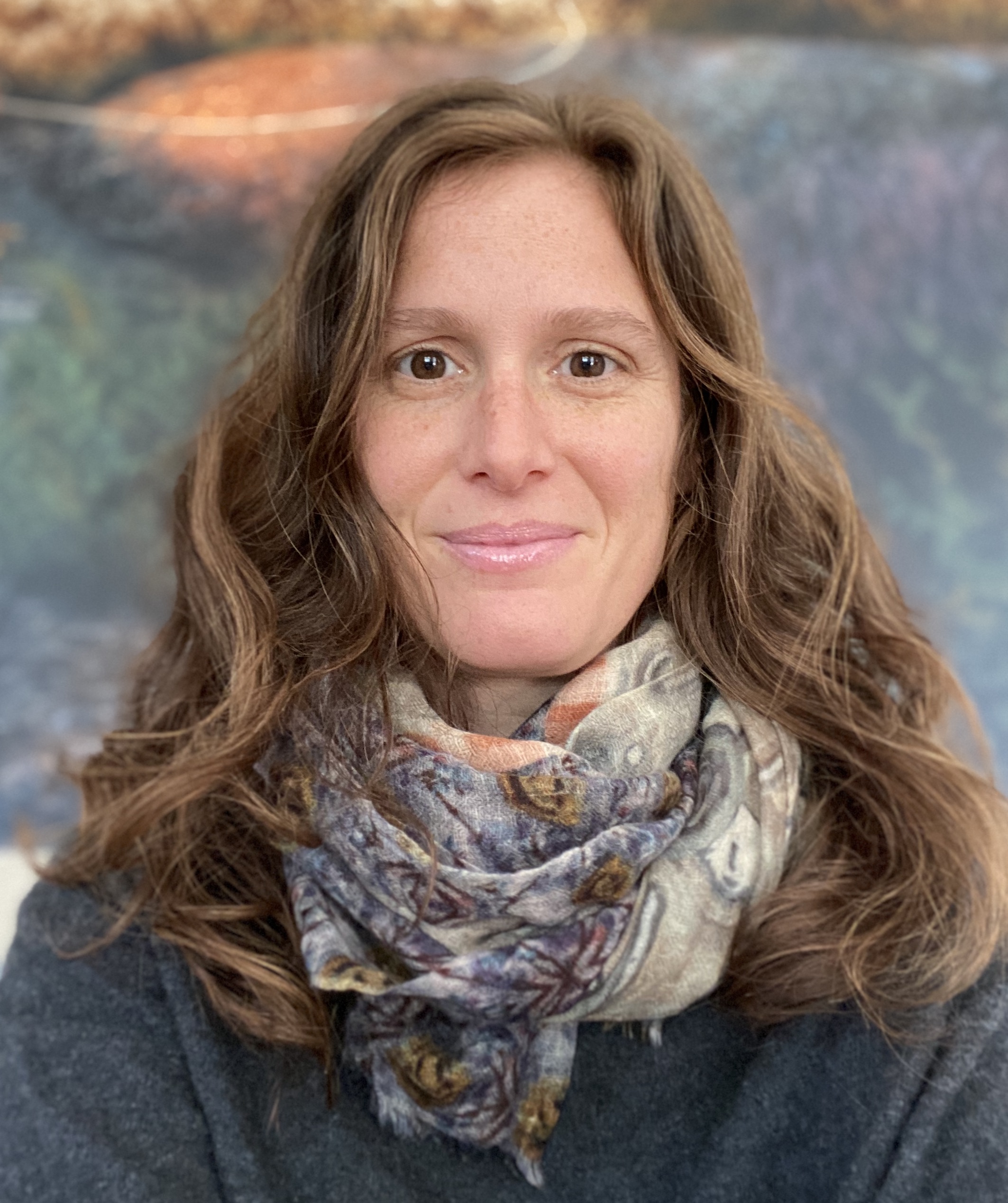 Online Virtual Counselors