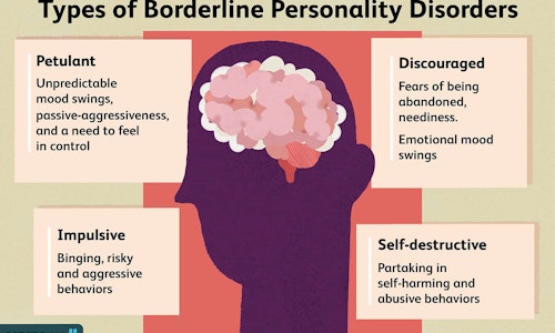 Borderline Personality Disorder Group (BPD)