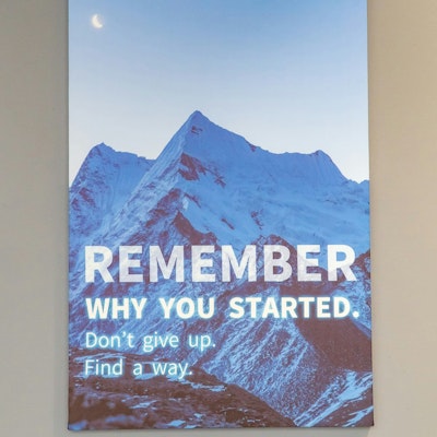 Taylor Paparazzo Taylor Paparazzo