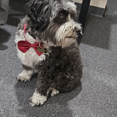 WPA Counseling WPA Counseling